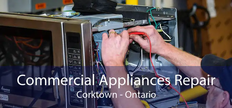 Commercial Appliances Repair Corktown - Ontario