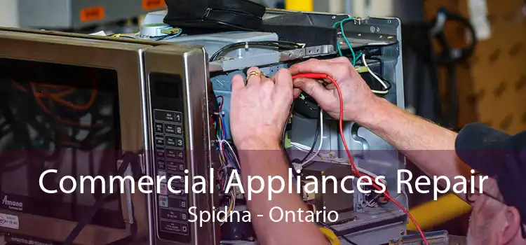 Commercial Appliances Repair Spidna - Ontario