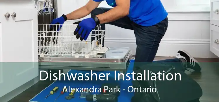 Dishwasher Installation Alexandra Park - Ontario