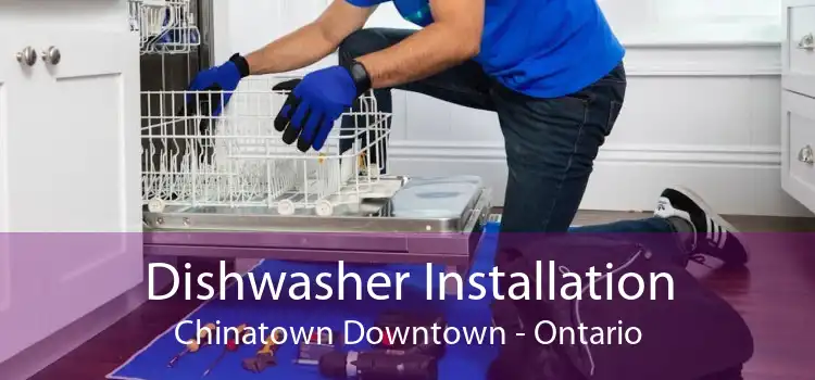 Dishwasher Installation Chinatown Downtown - Ontario
