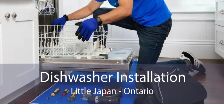 Dishwasher Installation Little Japan - Ontario