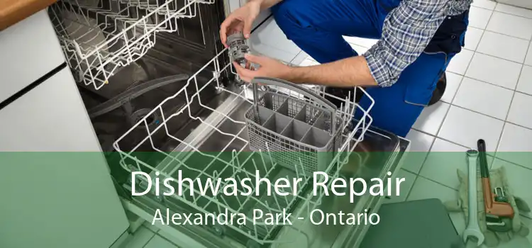 Dishwasher Repair Alexandra Park - Ontario