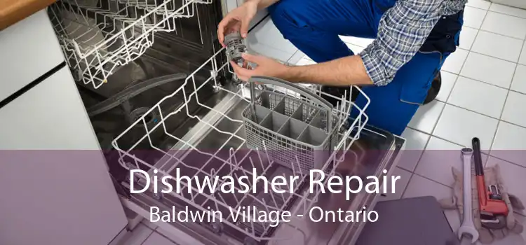 Dishwasher Repair Baldwin Village - Ontario