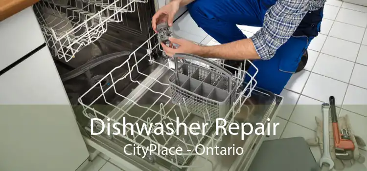 Dishwasher Repair CityPlace - Ontario