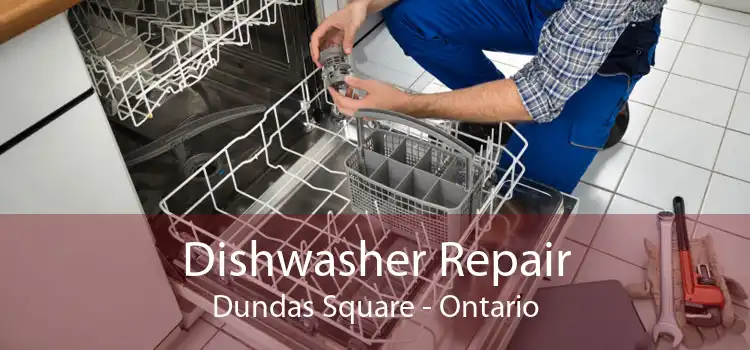 Dishwasher Repair Dundas Square - Ontario