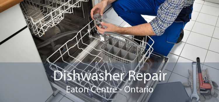 Dishwasher Repair Eaton Centre - Ontario