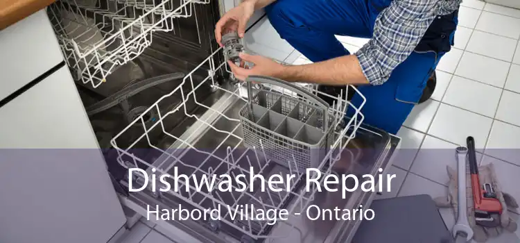 Dishwasher Repair Harbord Village - Ontario