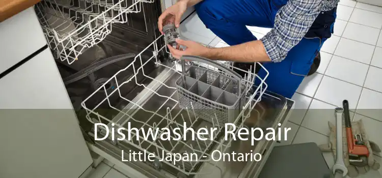 Dishwasher Repair Little Japan - Ontario
