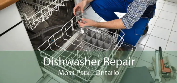 Dishwasher Repair Moss Park - Ontario