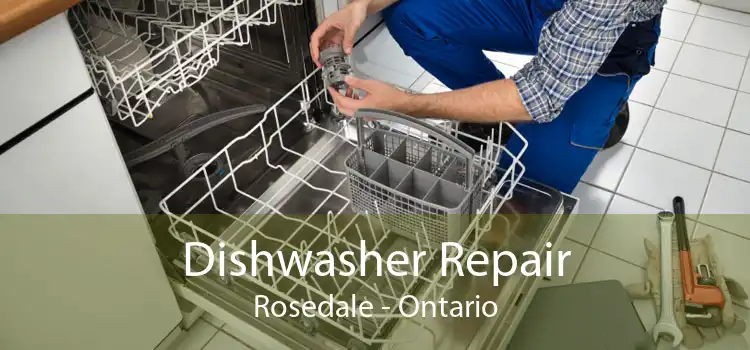 Dishwasher Repair Rosedale - Ontario