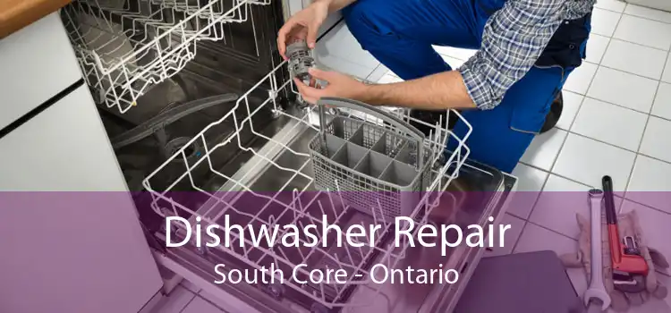 Dishwasher Repair South Core - Ontario
