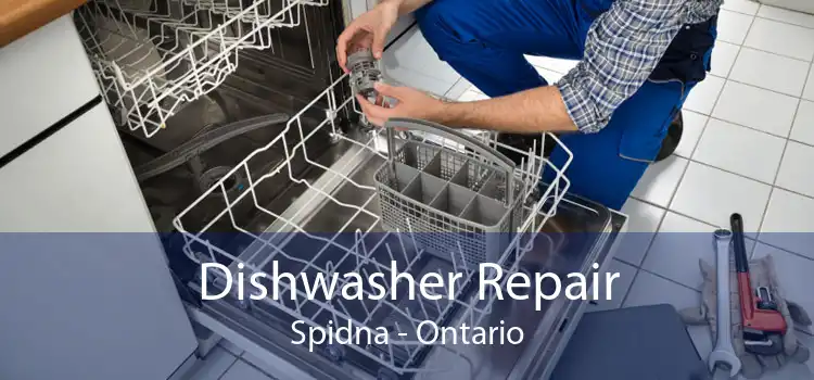 Dishwasher Repair Spidna - Ontario