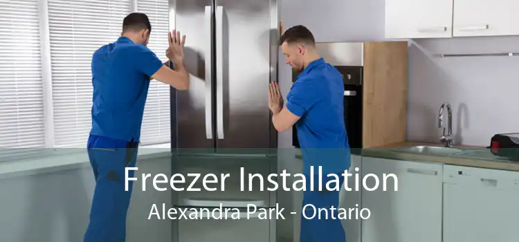 Freezer Installation Alexandra Park - Ontario