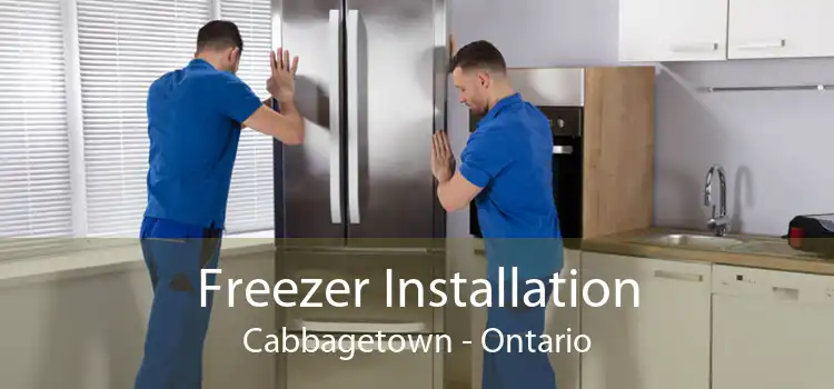 Freezer Installation Cabbagetown - Ontario