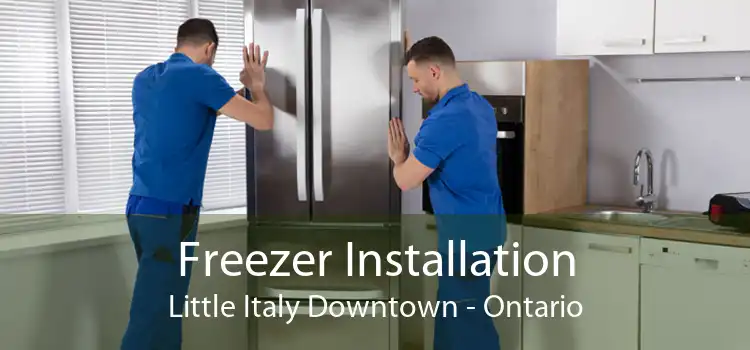 Freezer Installation Little Italy Downtown - Ontario