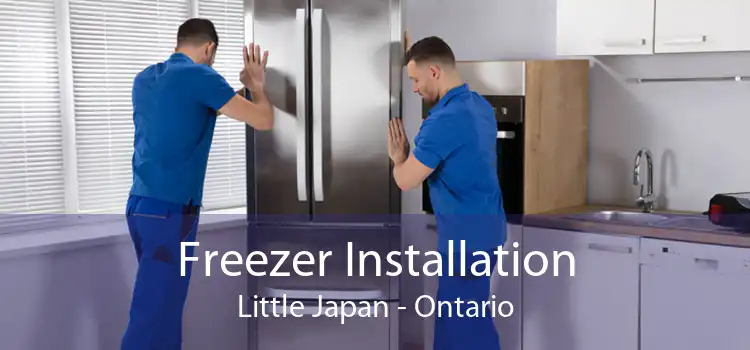 Freezer Installation Little Japan - Ontario