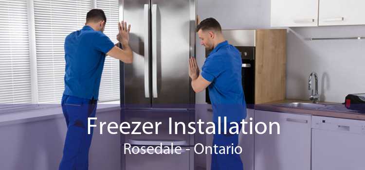 Freezer Installation Rosedale - Ontario