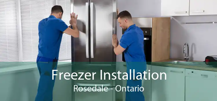 Freezer Installation Rosedale - Ontario