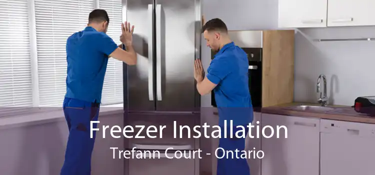 Freezer Installation Trefann Court - Ontario