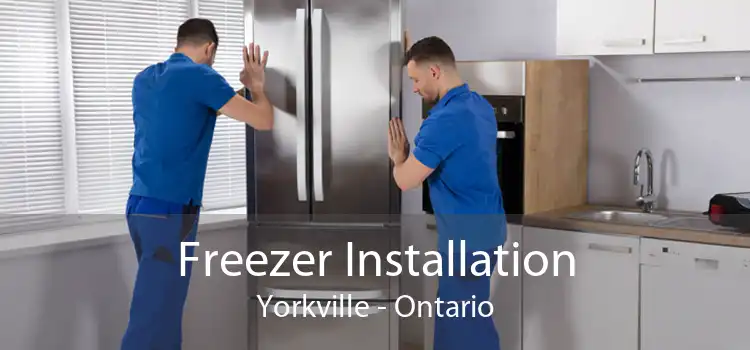 Freezer Installation Yorkville - Ontario