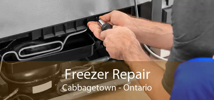 Freezer Repair Cabbagetown - Ontario
