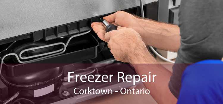 Freezer Repair Corktown - Ontario
