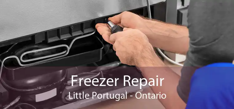 Freezer Repair Little Portugal - Ontario