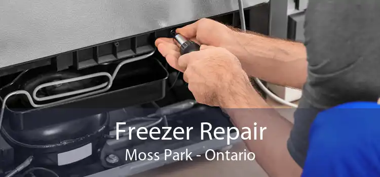 Freezer Repair Moss Park - Ontario
