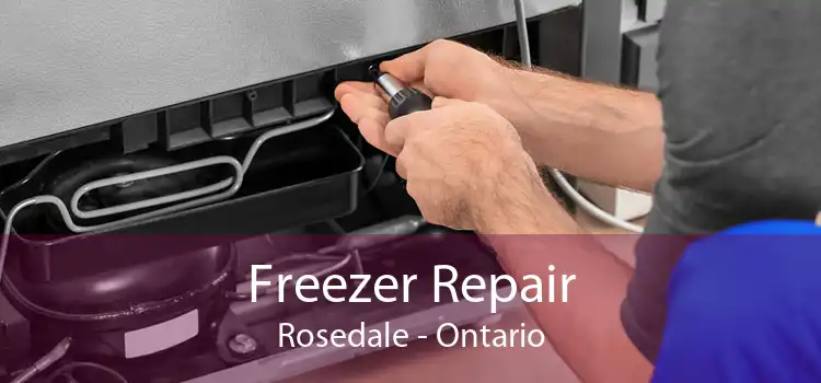Freezer Repair Rosedale - Ontario