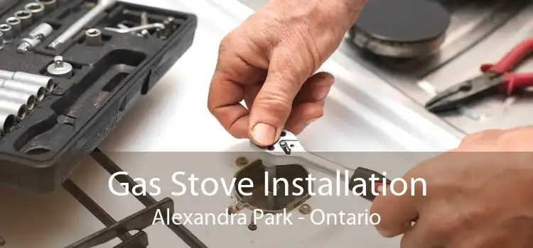 Gas Stove Installation Alexandra Park - Ontario