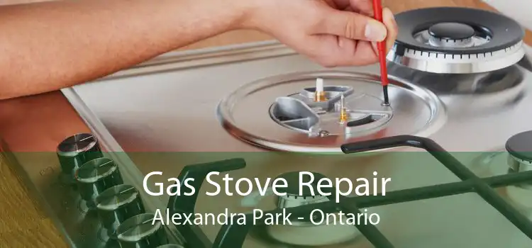 Gas Stove Repair Alexandra Park - Ontario