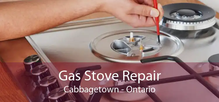Gas Stove Repair Cabbagetown - Ontario