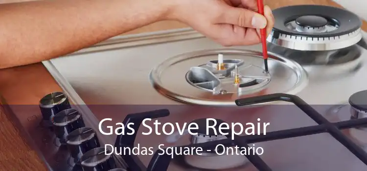 Gas Stove Repair Dundas Square - Ontario