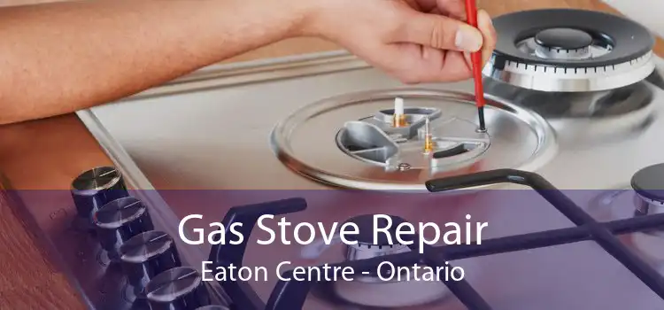 Gas Stove Repair Eaton Centre - Ontario