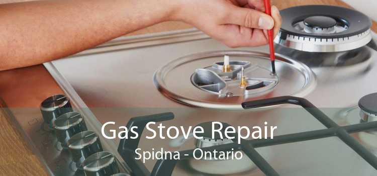 Gas Stove Repair Spidna - Ontario