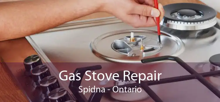 Gas Stove Repair Spidna - Ontario