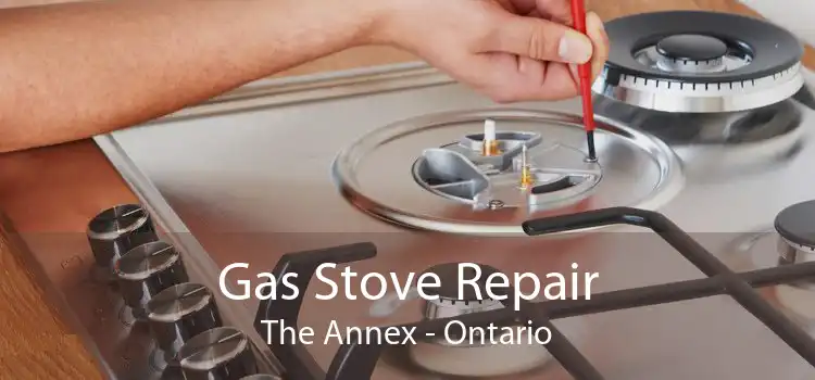 Gas Stove Repair The Annex - Ontario