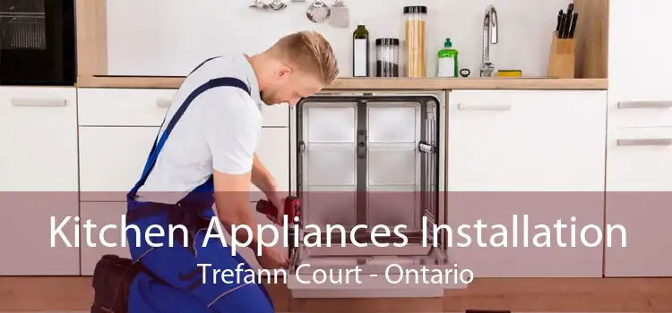 Kitchen Appliances Installation Trefann Court - Ontario