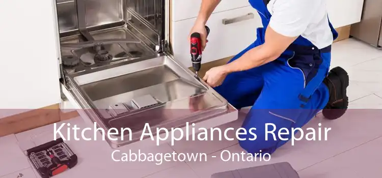 Kitchen Appliances Repair Cabbagetown - Ontario