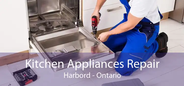 Kitchen Appliances Repair Harbord - Ontario