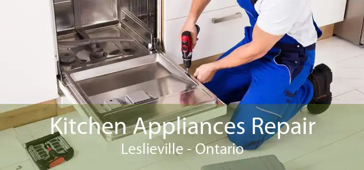 Kitchen Appliances Repair Leslieville - Ontario