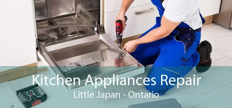 Kitchen Appliances Repair Little Japan - Ontario
