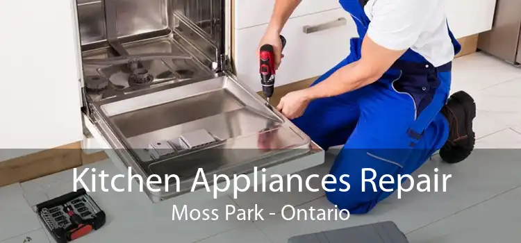 Kitchen Appliances Repair Moss Park - Ontario