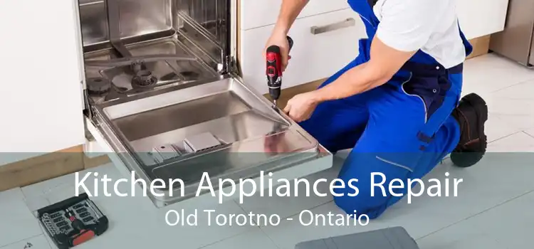 Kitchen Appliances Repair Old Torotno - Ontario