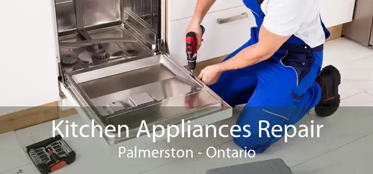 Kitchen Appliances Repair Palmerston - Ontario