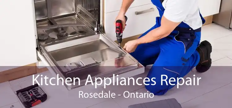 Kitchen Appliances Repair Rosedale - Ontario