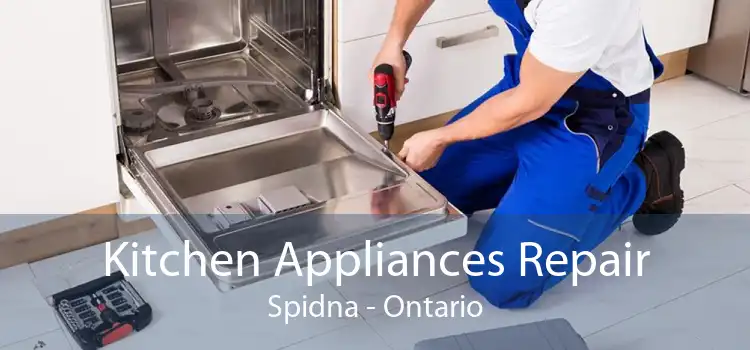 Kitchen Appliances Repair Spidna - Ontario