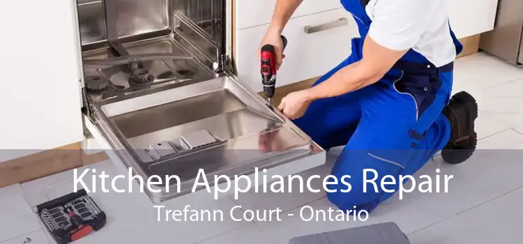 Kitchen Appliances Repair Trefann Court - Ontario