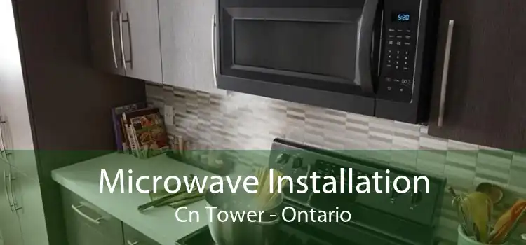 Microwave Installation Cn Tower - Ontario