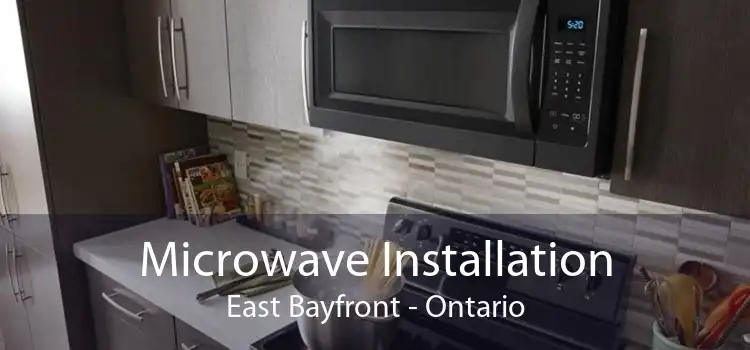 Microwave Installation East Bayfront - Ontario